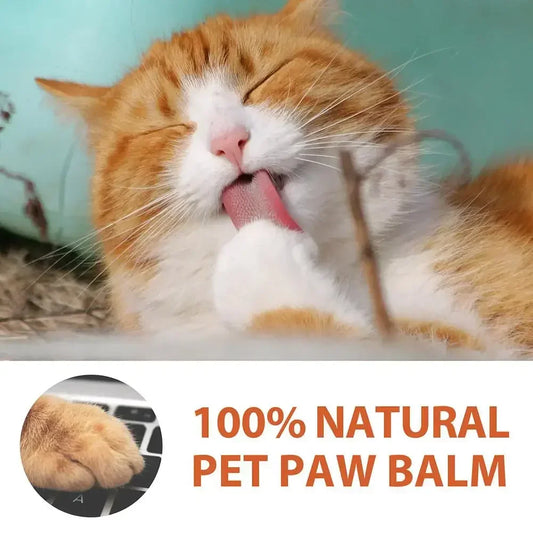 30g Pet Paw Care Cream Cat and Dog Foot Care Cream Foot Pad Protection Oil Dog Paw Balm Cat Dog Paw Protective Cream Canine