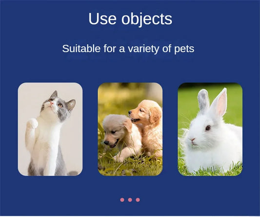 Pet Wipes Ro Pure Water Formula Pet Care Pet Health Care and Cleaning Pet Specific Cleaning Deodorizing Wet Tissue No Wash